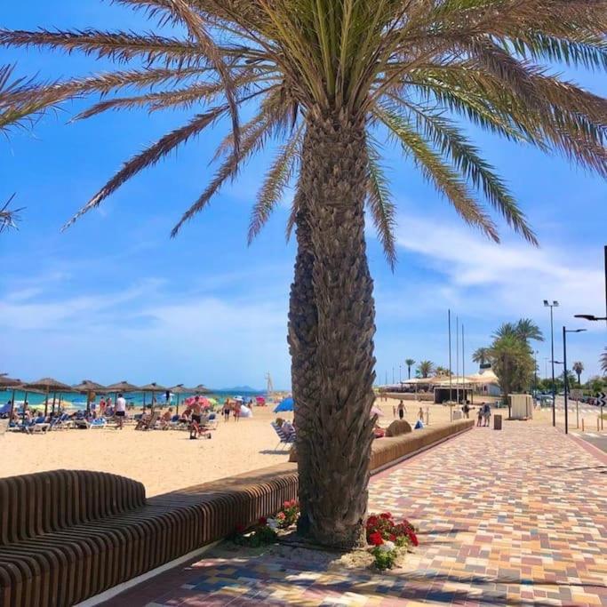 Casa Andres. Two Bed Penthouse Pool & Terrace Apartment Alicante Luaran gambar